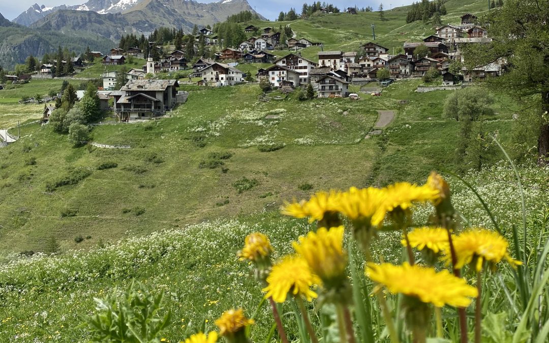 CHAMOIS la PERLA delle ALPI: una gita per grandi e piccini a piedi o in MTB.